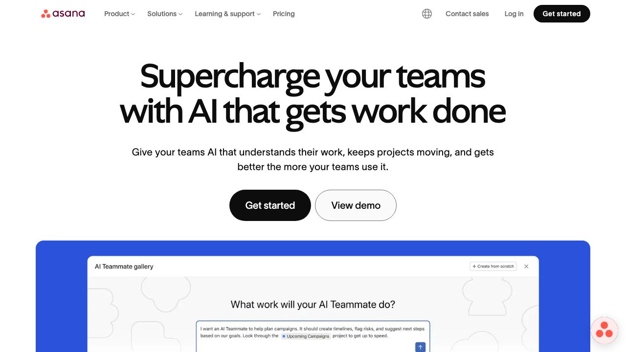 Asana official website preview