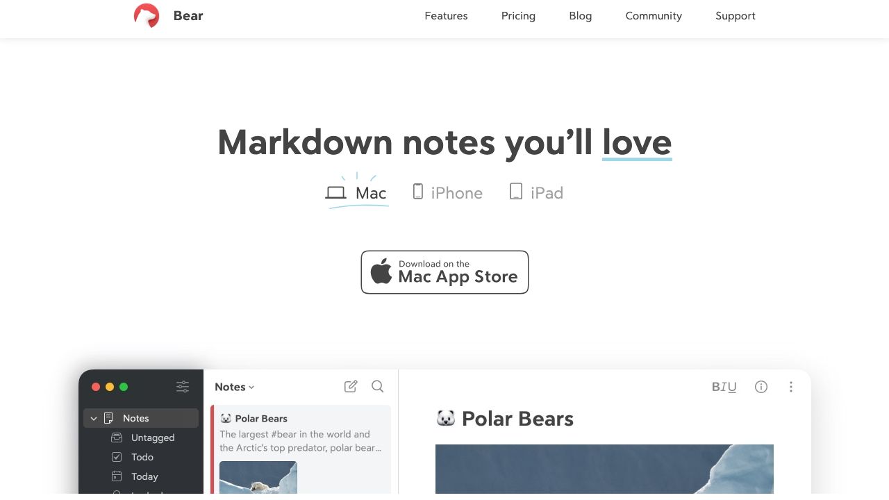 Bear official website preview