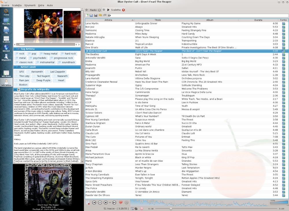 Clementine interface preview 1