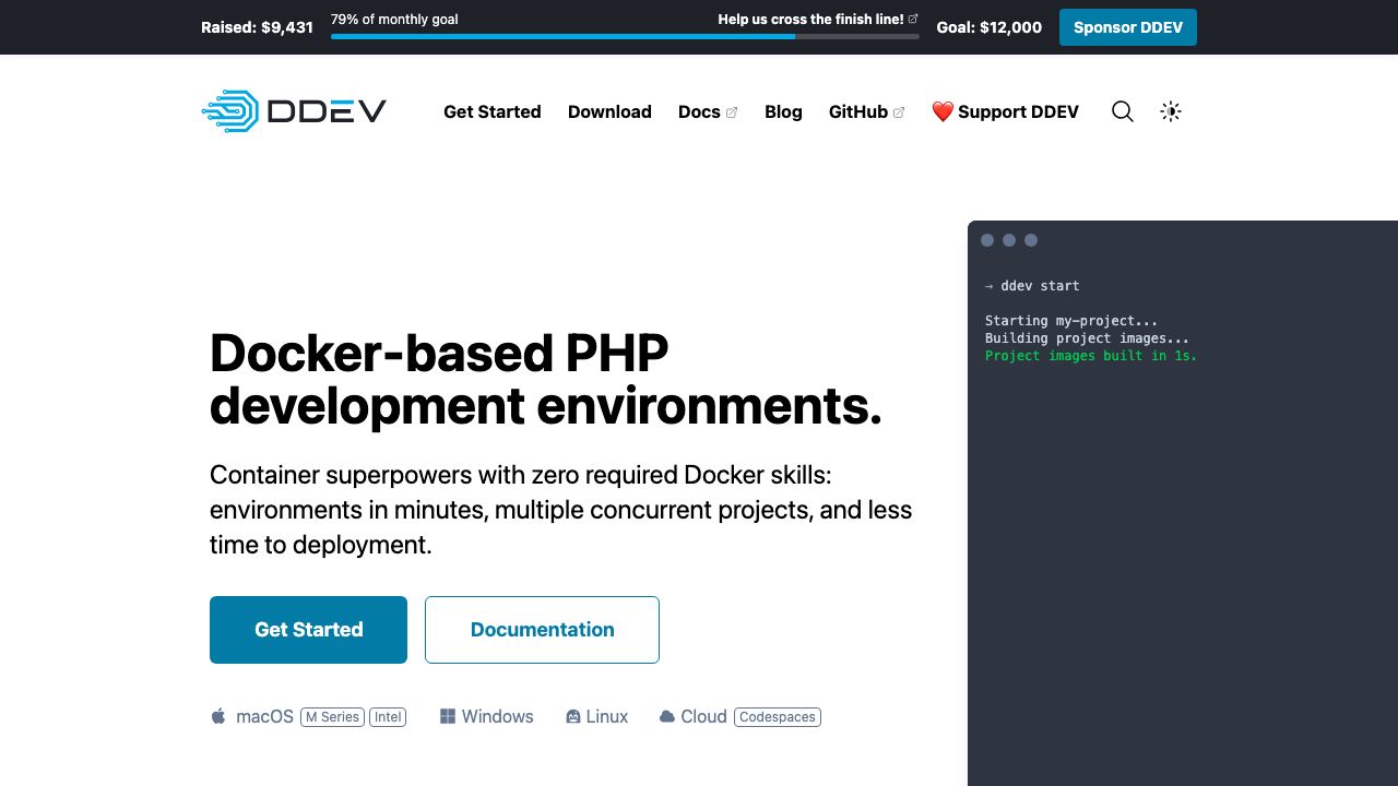 DDEV official website preview