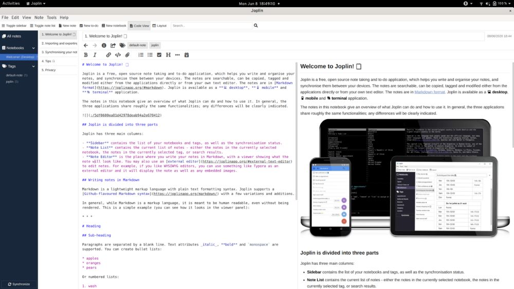Joplin interface preview 1