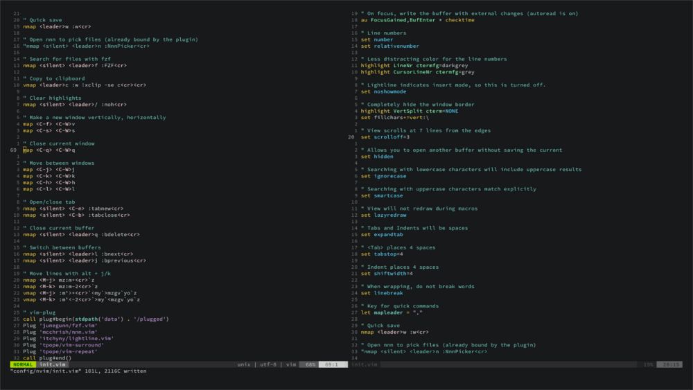 Neovim interface preview 1