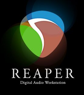 Reaper DAW interface preview 2
