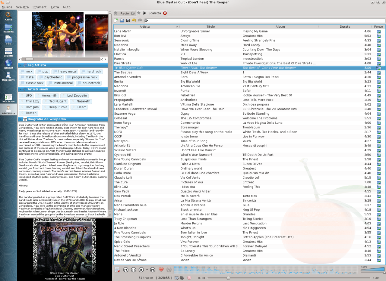 Strawberry Music Player interface preview 1