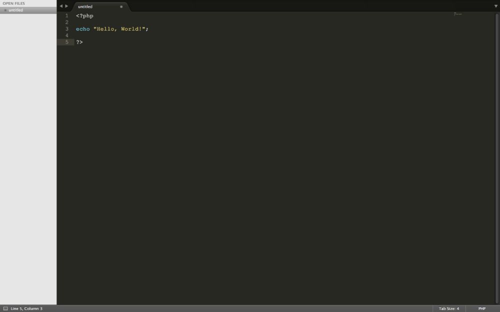 Sublime Text interface preview 1