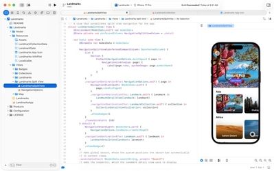 Xcode interface preview 2